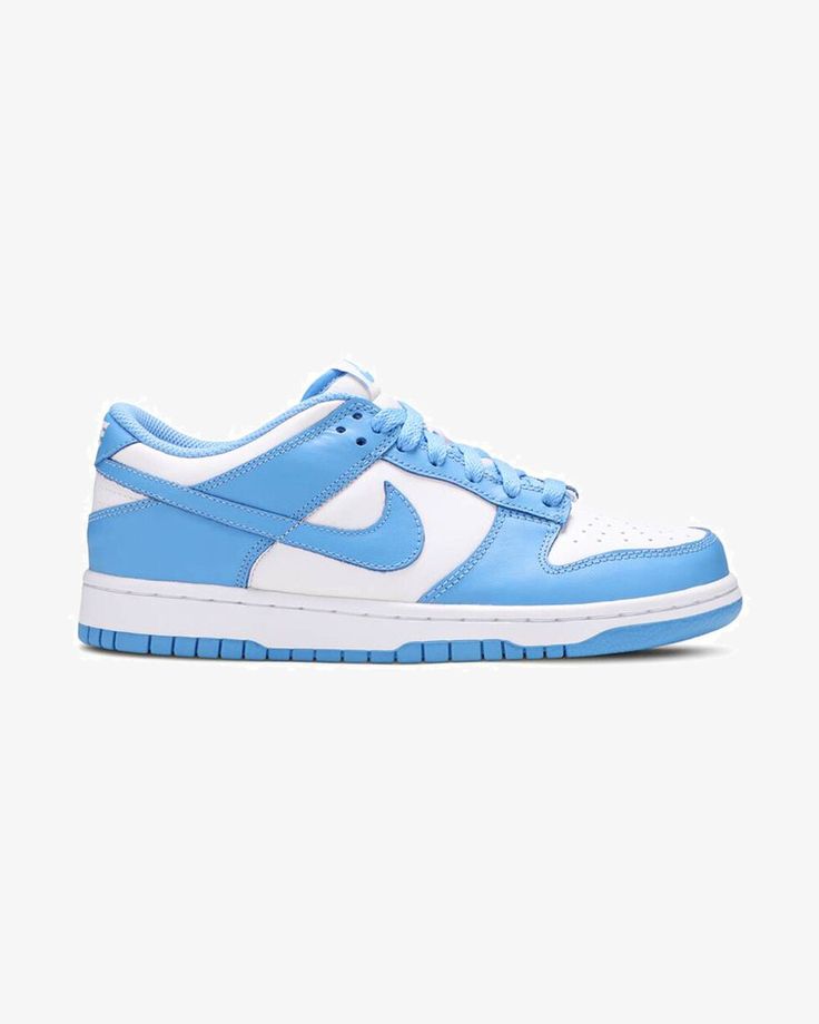 Nike Dunk Low UNC