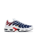 Nike air max plus psg
