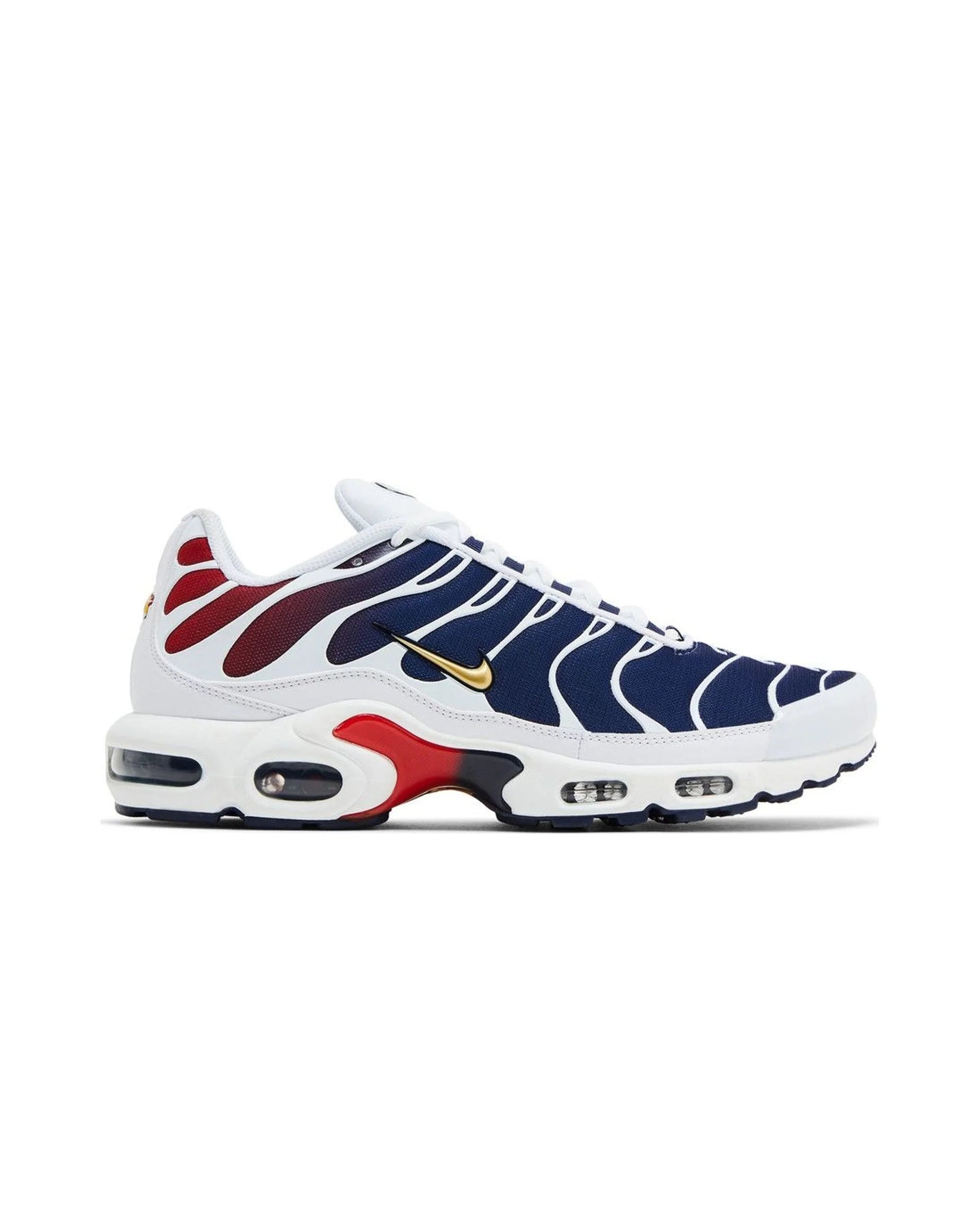 Nike air max plus psg